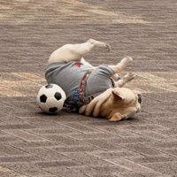 なんだか楽しそう♪