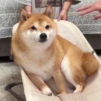 目を細めてうっとり
