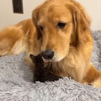 少し困惑したような表情