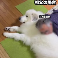 大切な役割を果たしています♡