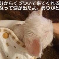少しずつ絆が深まった