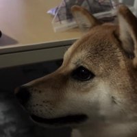 「アー！」