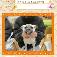 写真を撮ったら…