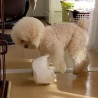 まさかの皿返し！！