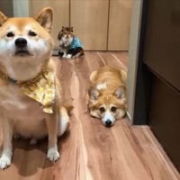 ディス子さんも集合