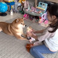 遊びに付き合ってくれて優しい！