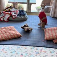 普通に座るかと思ったら…？