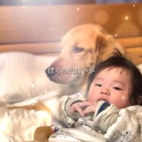 投稿主の息子と大型犬