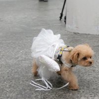 指輪が落ちちゃった！！