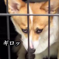 般若顔を披露！？