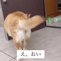 くるり