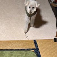 リクちゃんもドン引き！？