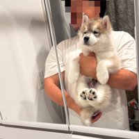 体重5キロ