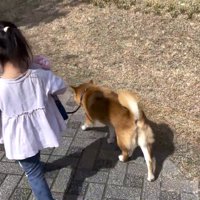 アトラクション乗り場へ移動