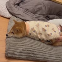 まったく動こうとしない…！！