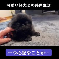 ひとつ心配なことが…