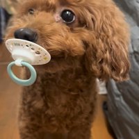 キョトン顔でキョロキョロ…