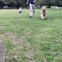 嬉しそうなおからちゃん