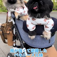いつまでも仲良く暮らしてね♪