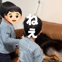 兄弟そろっておねがい