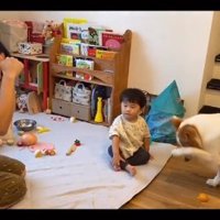 トリックをするラスカルくん