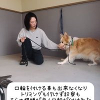 口輪もつけられないそらくん