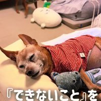 できないこともあるけれど…