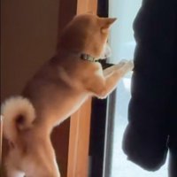 リクくんにハプニング発生3