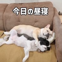 ママのため、今後も頑張ろうね