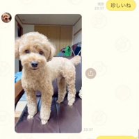 LINEの画面