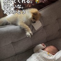 子守りをするイクラちゃん
