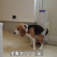 必死に踏ん張る姿が可愛い（笑）