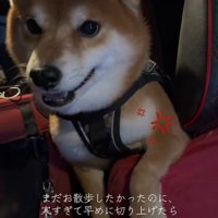 はなまる君の猛抗議7