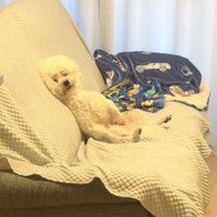 ZZZ…