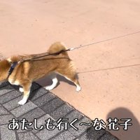 一緒にメリーゴーランドに乗る気満々！