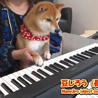 まずは豆じろうくんが挑戦