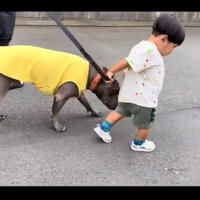 リードを持ちたいしおちゃん