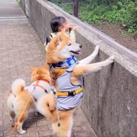 興味津々