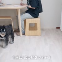 次の日には1歳に