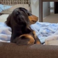 お父さん