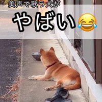 音楽に合わせて歌うコロちゃん2