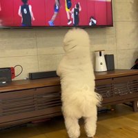 バスケの試合を見ているエマくん