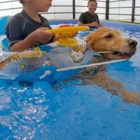 浮き輪を引っ張って泳ぐジョイくん
