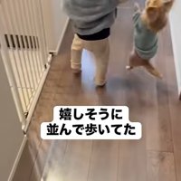 飛び跳ねるハナちゃん