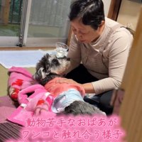 おばあちゃんを見るジジくん
