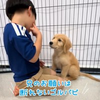 頬を指差す男の子