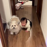 取り繕う小太郎くん