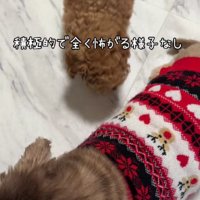 元気よくあいさつ！