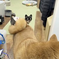 「美味かったで」