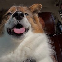 表情豊かなアグちゃんでした